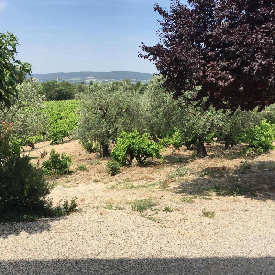 Mas Du Prescondu Villa Mirabel-aux-Baronnies Luaran gambar